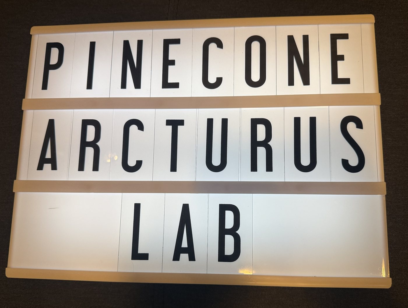 Pinecone Arcturus Lab · DeepSpace Dynamics